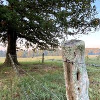 Cook Creek Road Farm images 3