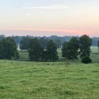 Cook Creek Road Farm images 4