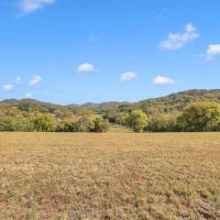 Stone Bridge Farms 70 beautiful acres on the Cumberland River located in Smith County Tennessee images 3