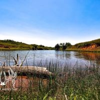 638 acres m l. Roger Mills County Oklahoma Land For Sale images 2