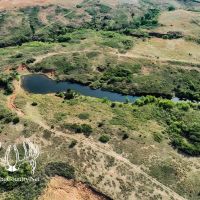 638 acres m l. Roger Mills County Oklahoma Land For Sale images 3