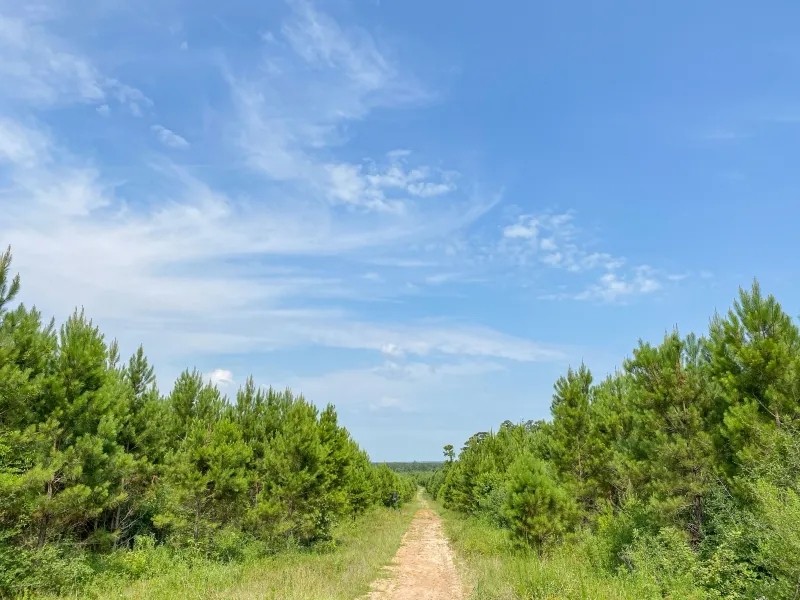 134 Acres T-2 Red Hollow featured image