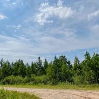 134 Acres T-2 Red Hollow images 5