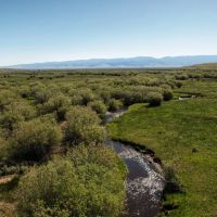 Moose Creek Ranch