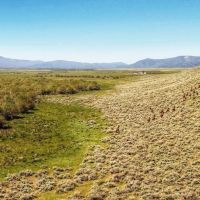 Moose Creek Ranch images 3