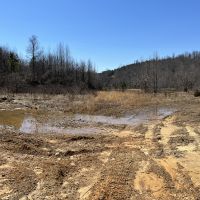 9.89 acres For Sale in Searcy Co Ar