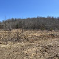 9.89 acres For Sale in Searcy Co Ar images 3