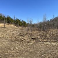 9.89 acres For Sale in Searcy Co Ar images 4