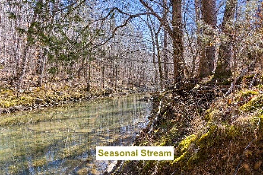 850 - Acres in North Georgia… A SPORTSMAN S PARADISE featured image
