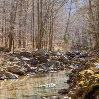 850 - Acres in North Georgia… A SPORTSMAN S PARADISE images 3