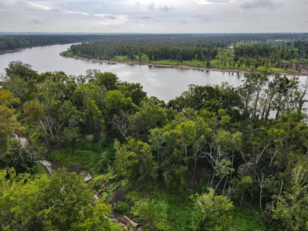 467 Acres Land for Sale on the Mississippi River East LA featured image
