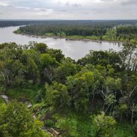467 Acres Land for Sale on the Mississippi River East LA