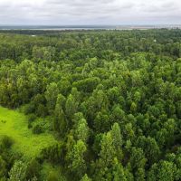 467 Acres Land for Sale on the Mississippi River East LA images 2