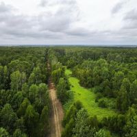 467 Acres Land for Sale on the Mississippi River East LA images 3