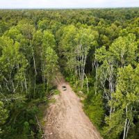 467 Acres Land for Sale on the Mississippi River East LA images 4