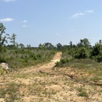 LA - Caldwell 79.64 acres - images 4
