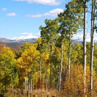 Stevens Gulch Ranch images 1