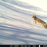 Stevens Gulch Ranch images 3