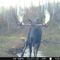 Stevens Gulch Ranch images 4