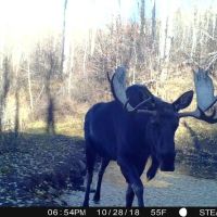 Stevens Gulch Ranch images 5