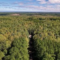 65.7 Acres of Investment Recreational and Developmental Land For Sale in Franklin County NC images 3