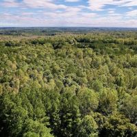 65.7 Acres of Investment Recreational and Developmental Land For Sale in Franklin County NC images 4
