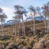Ramshorn Peak Retreat images 4