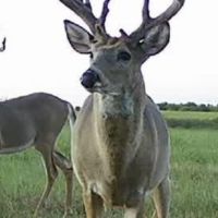 310 Acres in Chautauqua County