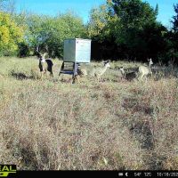 310 Acres in Chautauqua County images 2