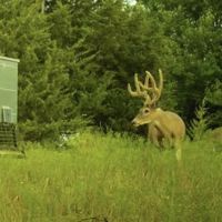 310 Acres in Chautauqua County images 3