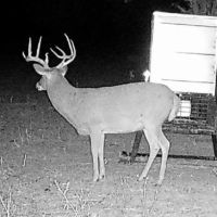 310 Acres in Chautauqua County images 4