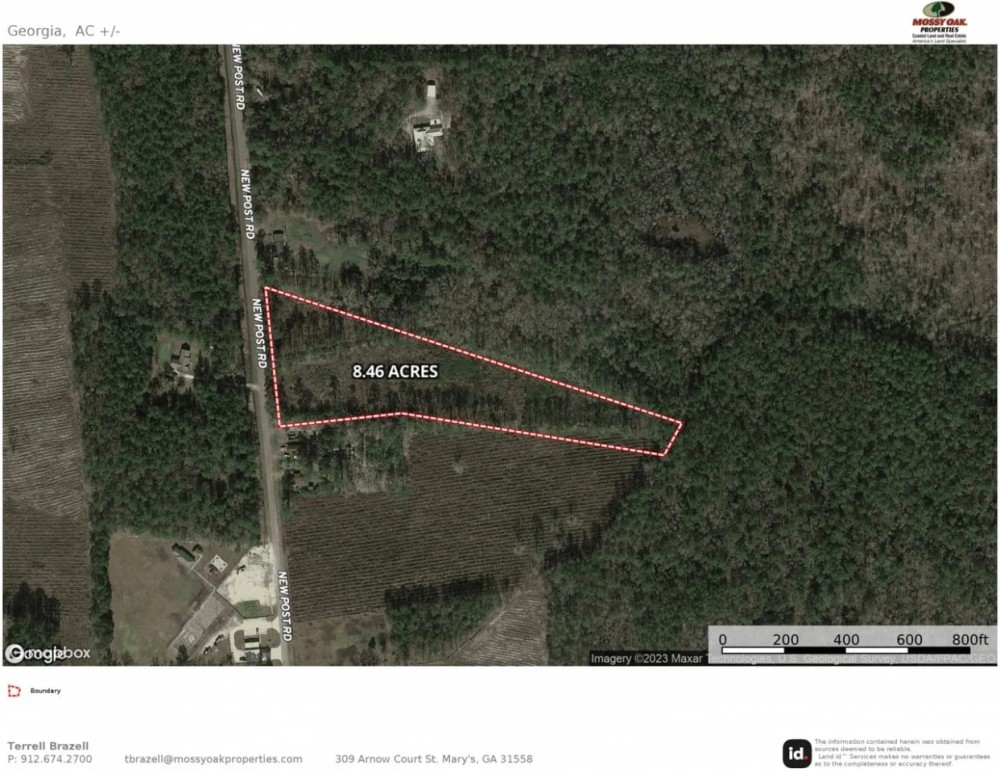 8.5 Acres in Camden County GA featured image