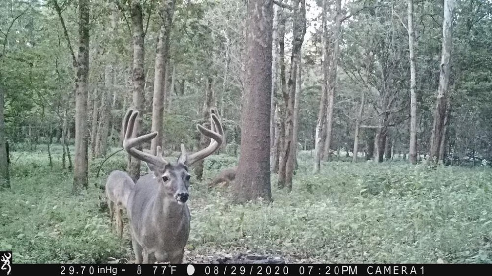 Diamond Island Hunt Club Share for Sale Tallulah LA featured image