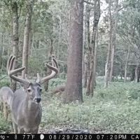 Diamond Island Hunt Club Share for Sale Tallulah LA