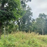 Diamond Island Hunt Club Share for Sale Tallulah LA images 2