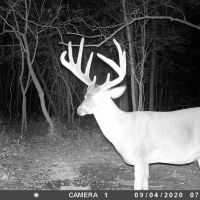 Diamond Island Hunt Club Share for Sale Tallulah LA images 4