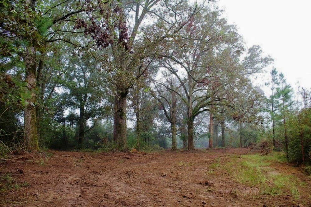 142 Acre Hunting Recreational Land for Sale LA MS State Line featured image