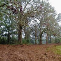 142 Acre Hunting Recreational Land for Sale LA MS State Line