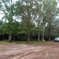 142 Acre Hunting Recreational Land for Sale LA MS State Line images 4