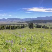 Montana Little Valley Ranch images 2