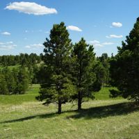 Belmont Ranch