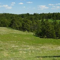 Belmont Ranch images 2