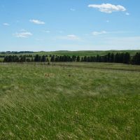 Belmont Ranch images 3