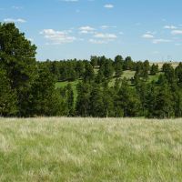 Belmont Ranch images 4