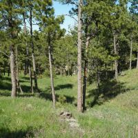Belmont Ranch images 5