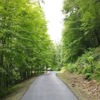Donnahoe s Mountain images 4