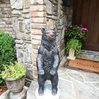 Donnahoe s Mountain images 5