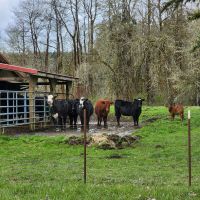 Devil s Bluff Ranch images 4
