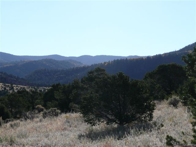 Mountain Lake Ranch featured image