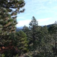 Mountain Lake Ranch images 2